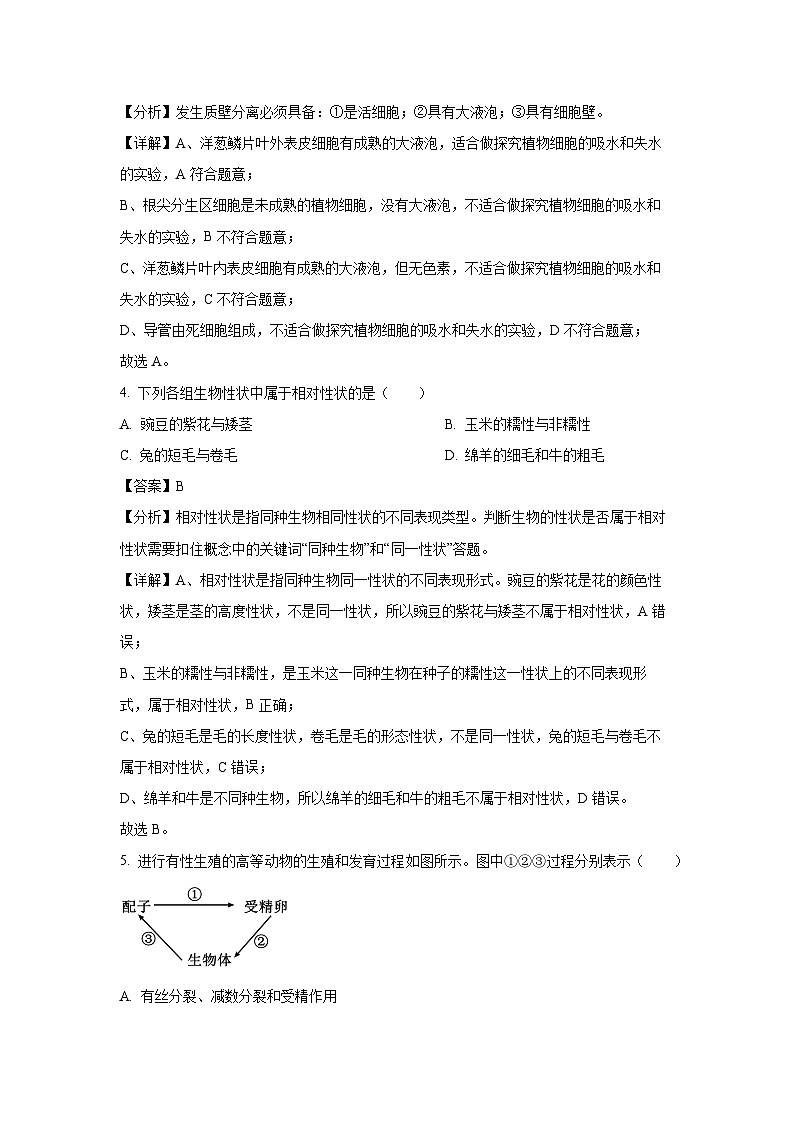 浙江省四校2024-2025学年高一下学期3月联考生物试卷（解析版）第2页