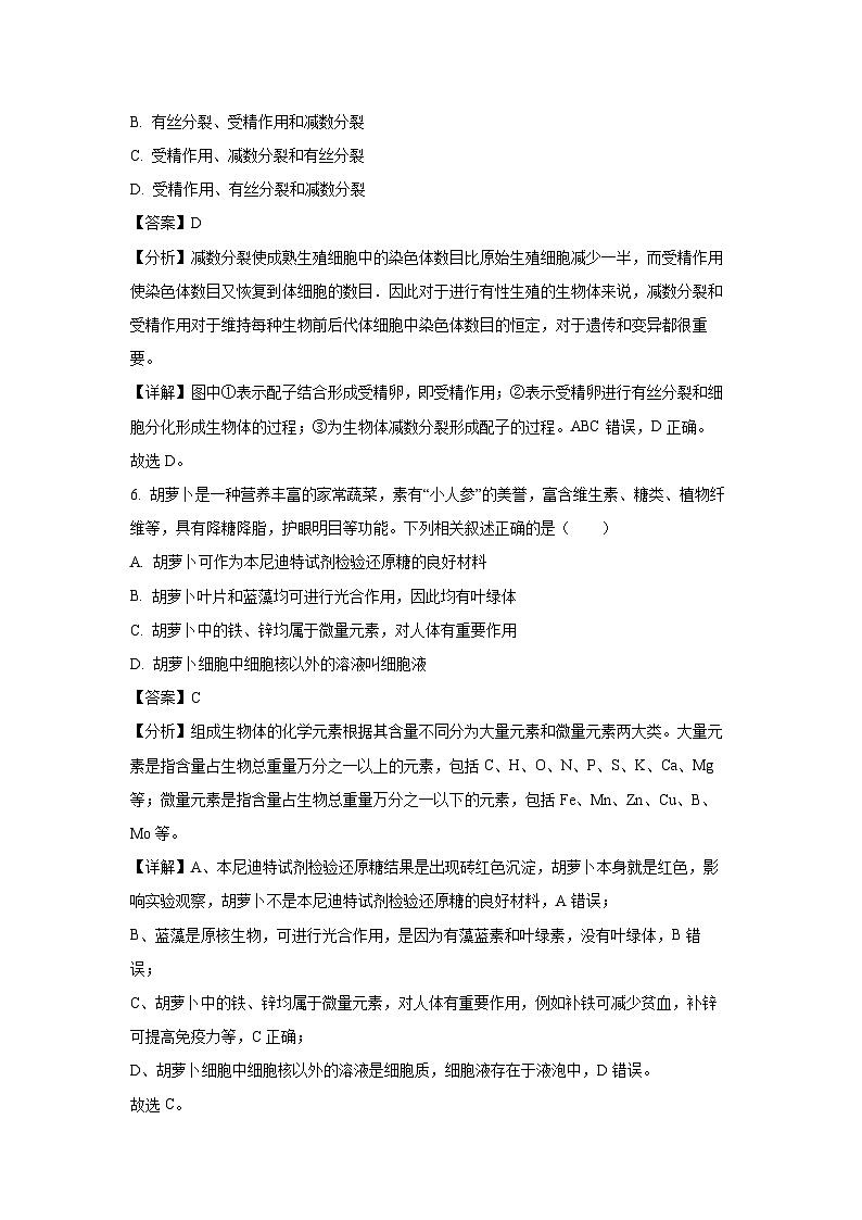 浙江省四校2024-2025学年高一下学期3月联考生物试卷（解析版）第3页
