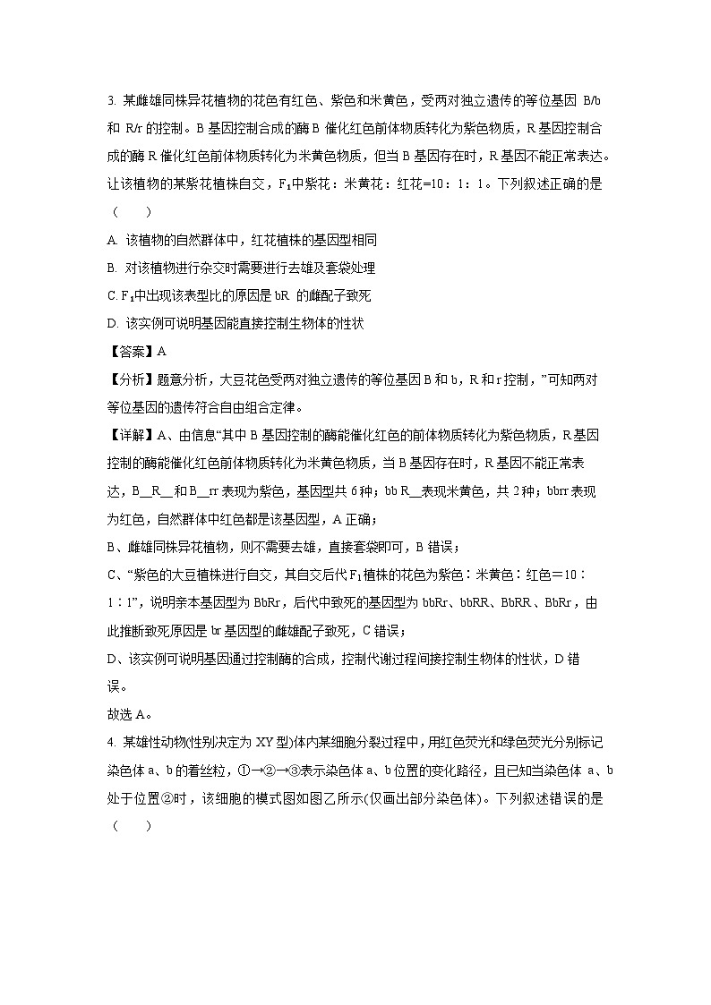 河南省新未来2023-2024学年高一下学期7月期末联考生物试题（解析版）第3页