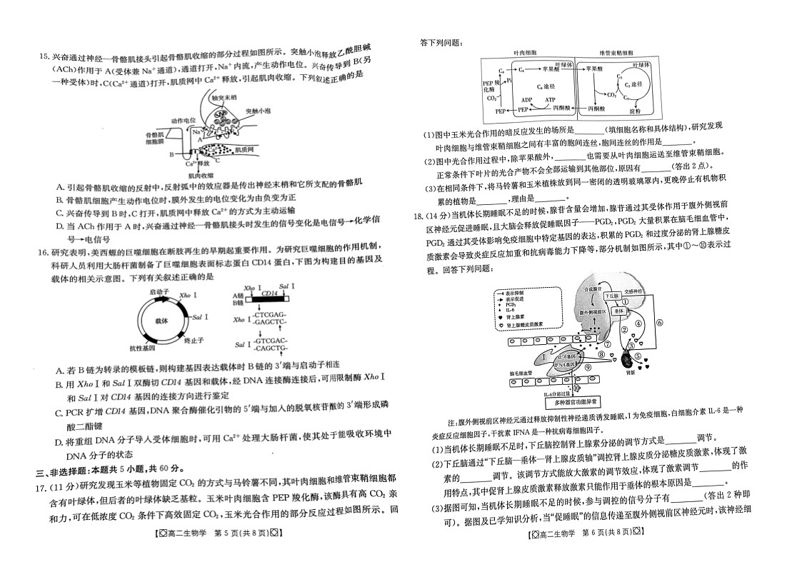 湖南省湘西2023-2024学年高二下学期期末考试生物试题第3页