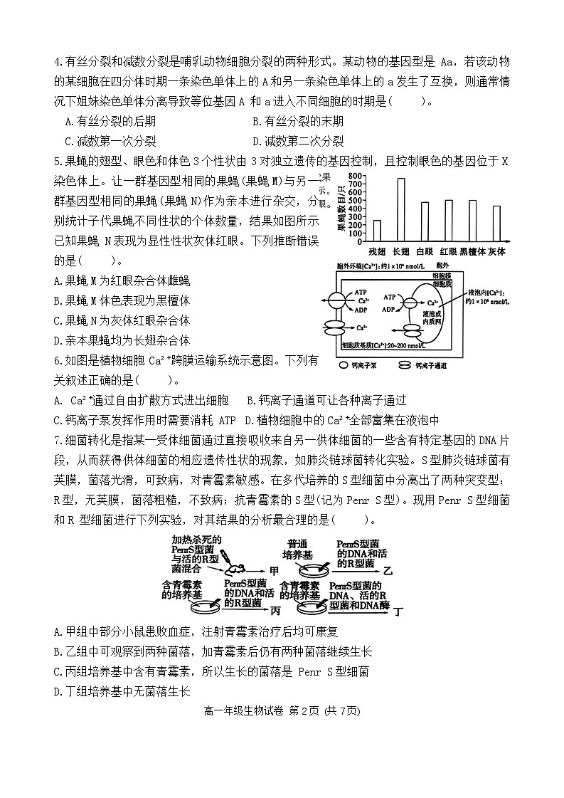 湖南省岳阳市湘阴县2023-2024学年高一下学期期末考试生物试题第2页