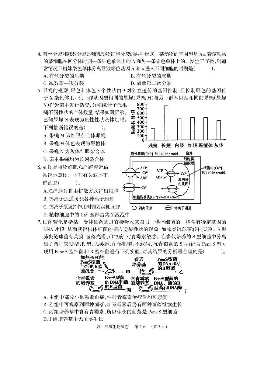 湘阴高一生物试卷2024.6.21第2页