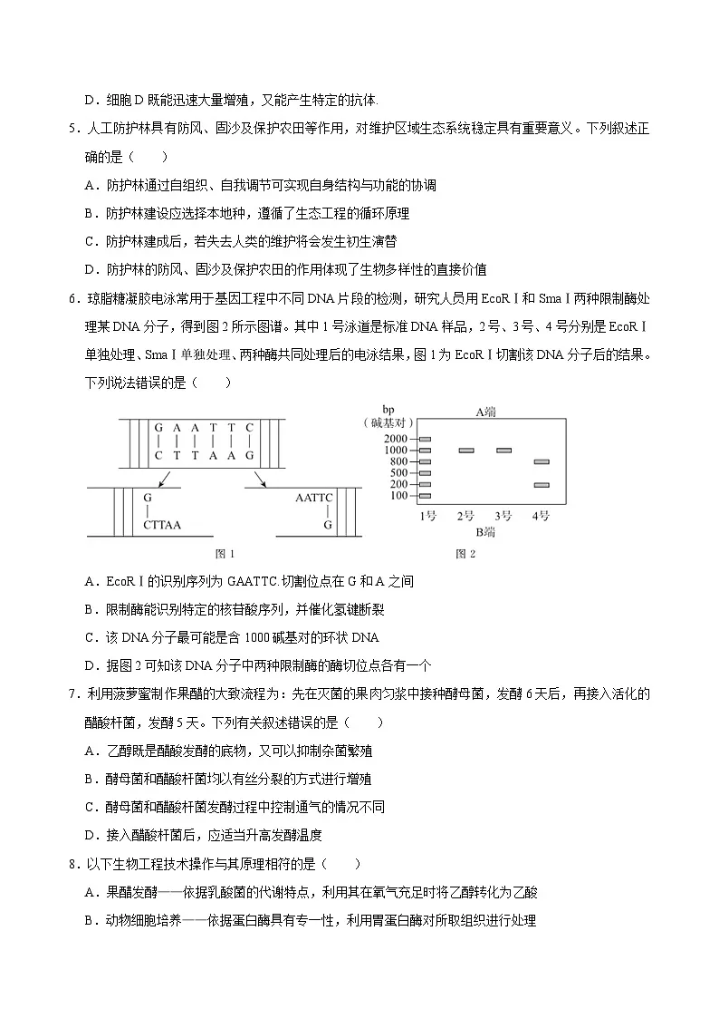 湖南省岳阳市岳阳县第一中学2023-2024学年高二下学期7月期末考试生物试题第2页