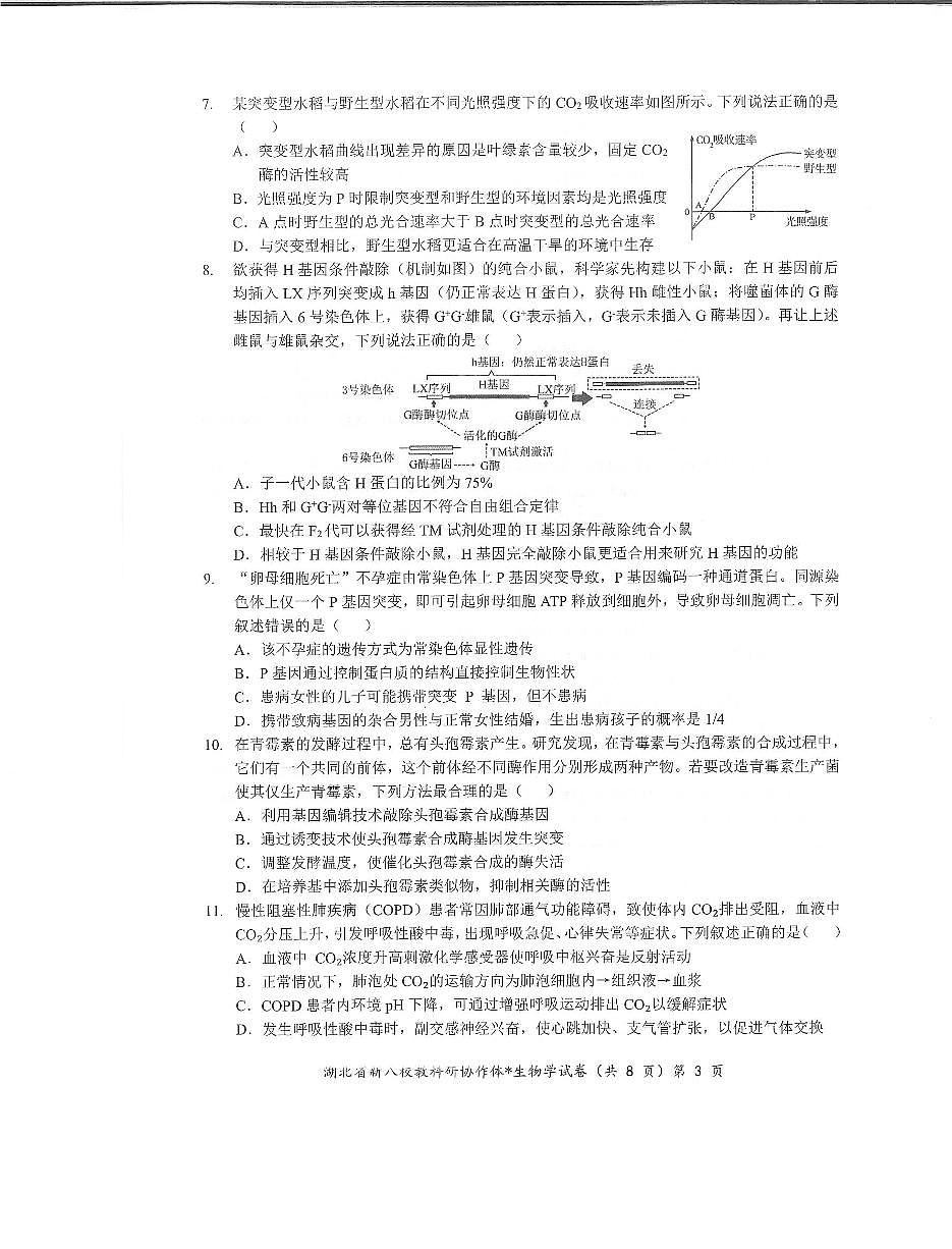 湖北省新八校协作体2025届高三下学期5月联考-生物试卷第3页