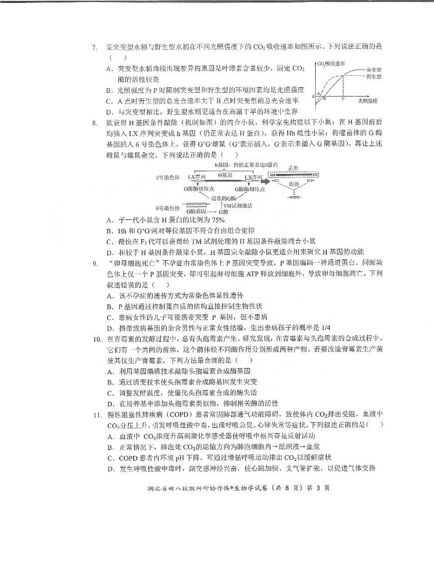 湖北省新八校协作体2025届高三下学期5月联考-生物试卷第3页