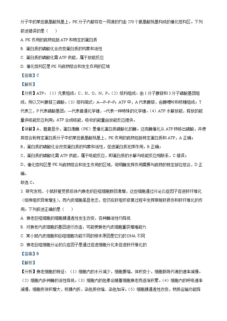 2025届河南省许平汝名校高三下学期二模生物试题  Word版含解析第2页