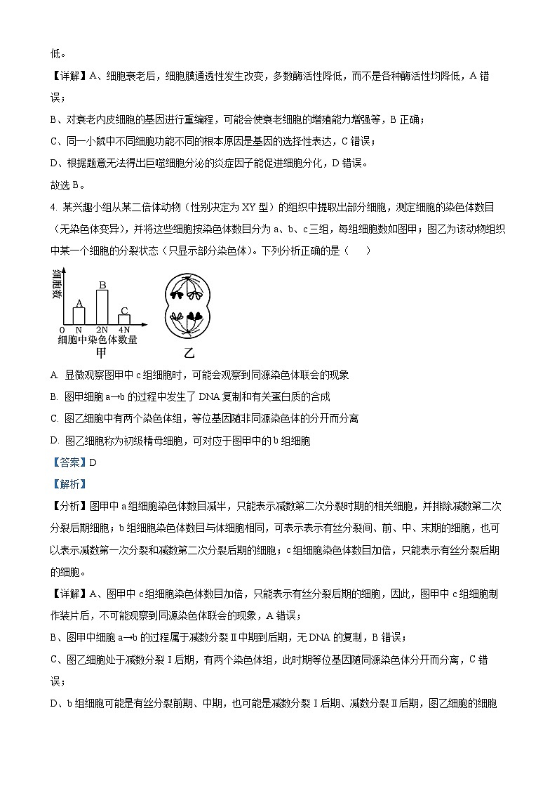 2025届河南省许平汝名校高三下学期二模生物试题  Word版含解析第3页