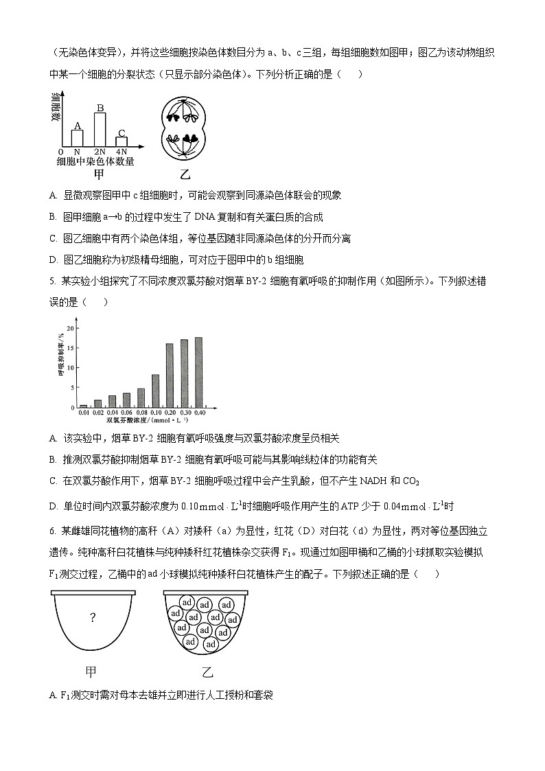 2025届河南省许平汝名校高三下学期二模生物试题  Word版无答案第2页