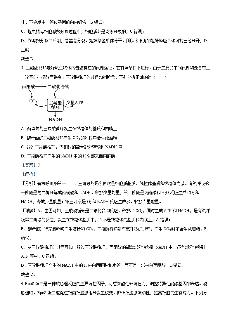 2025届陕西省汉中市二模生物试题  Word版含解析第3页