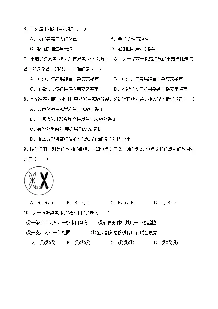 试卷2024-2025学年度高一下学期期中考试第2页