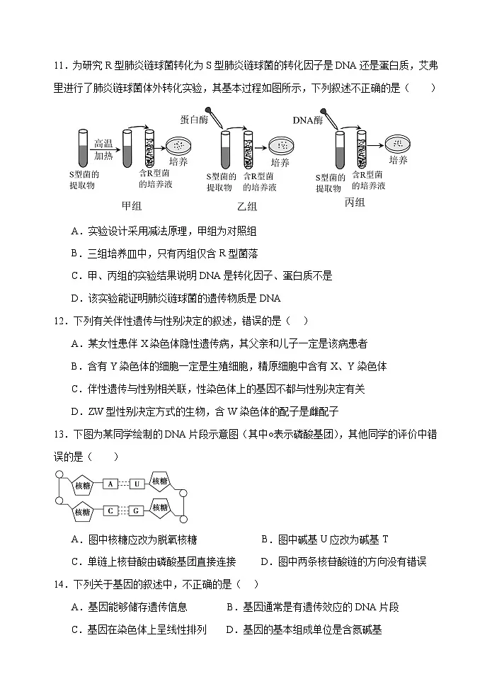 试卷2024-2025学年度高一下学期期中考试第3页