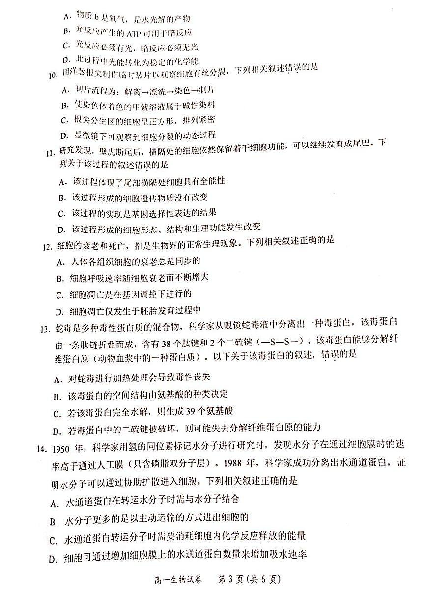广西壮族自治区百色市2023-2024学年高一上学期1月期末生物试题（含答案）第3页
