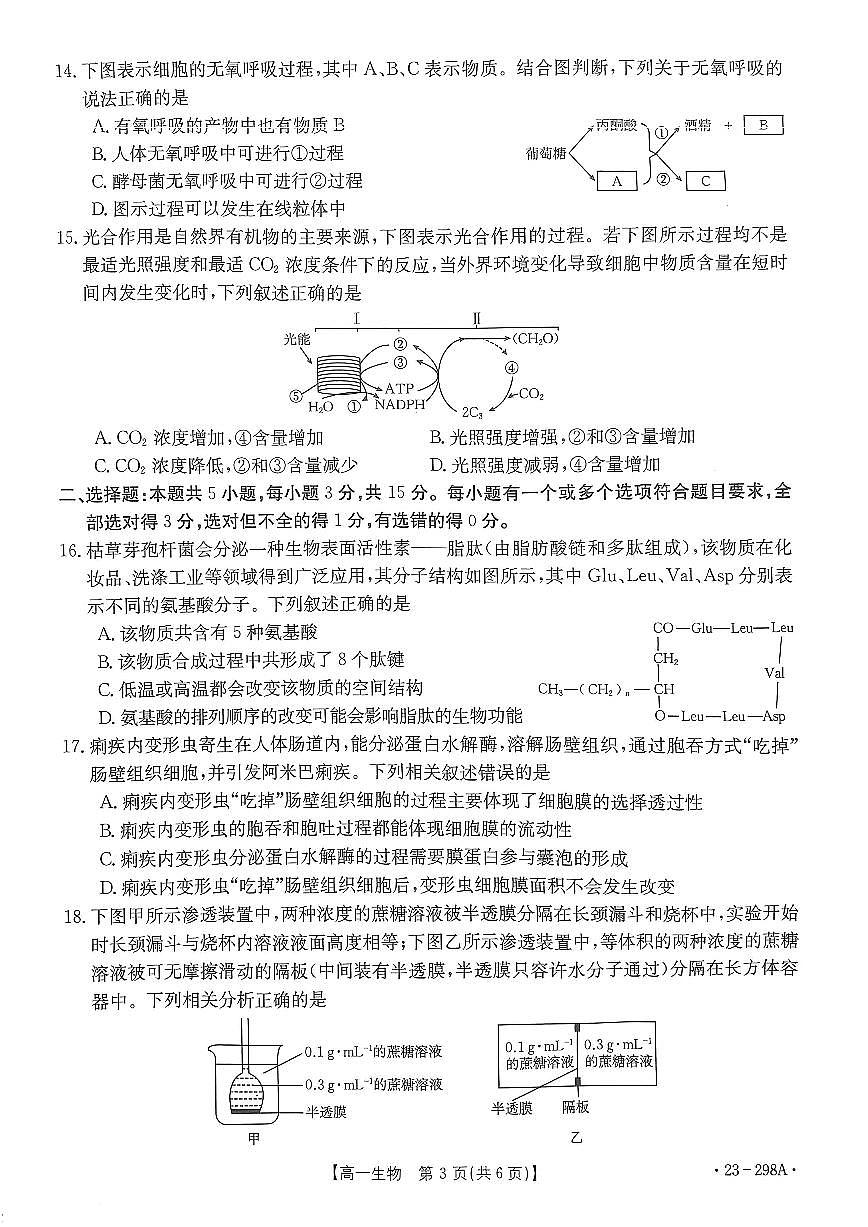 河南2022-2023学年高一下开学考 生物试卷（含答案）第3页