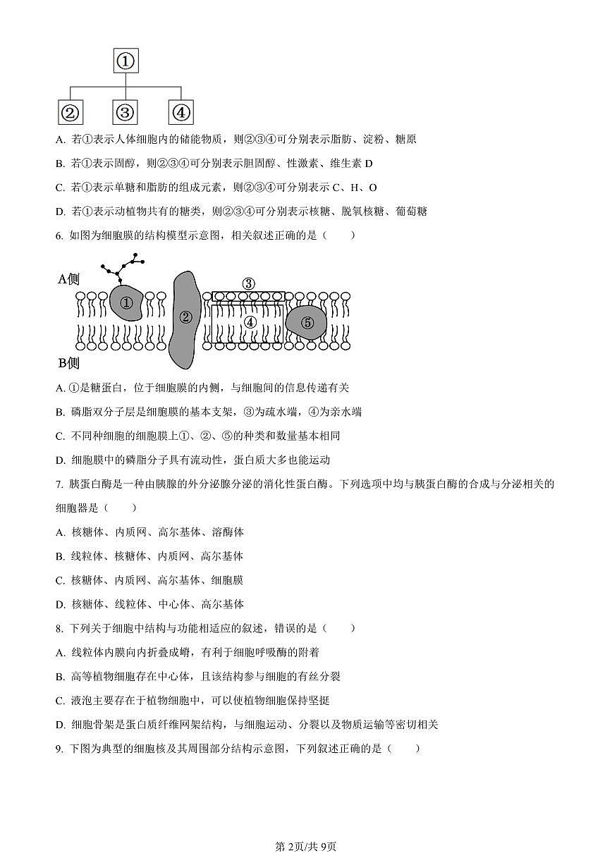 湖南省长沙市明德中学2023-2024学年高一上学期期末生物试题（含答案）第2页