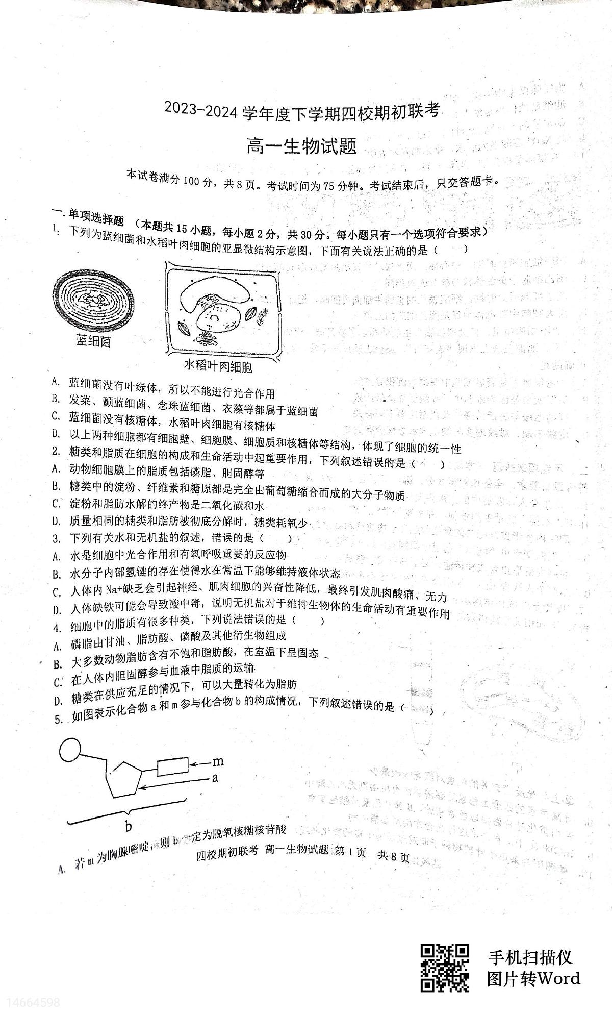 吉林省四校2023-2024学年高一下学期开学联考试题生物试题（含答案）第1页