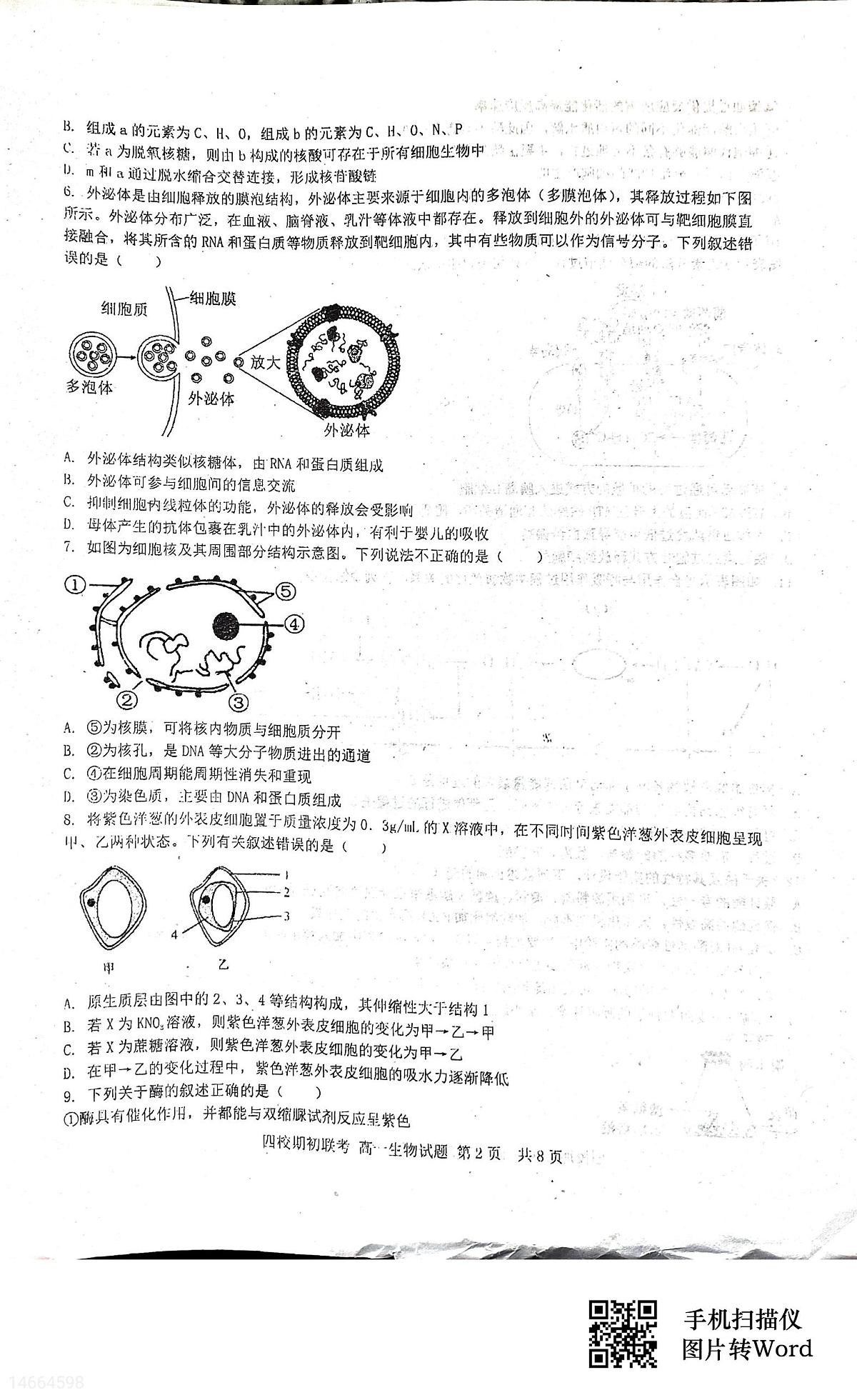 吉林省四校2023-2024学年高一下学期开学联考试题生物试题（含答案）第2页