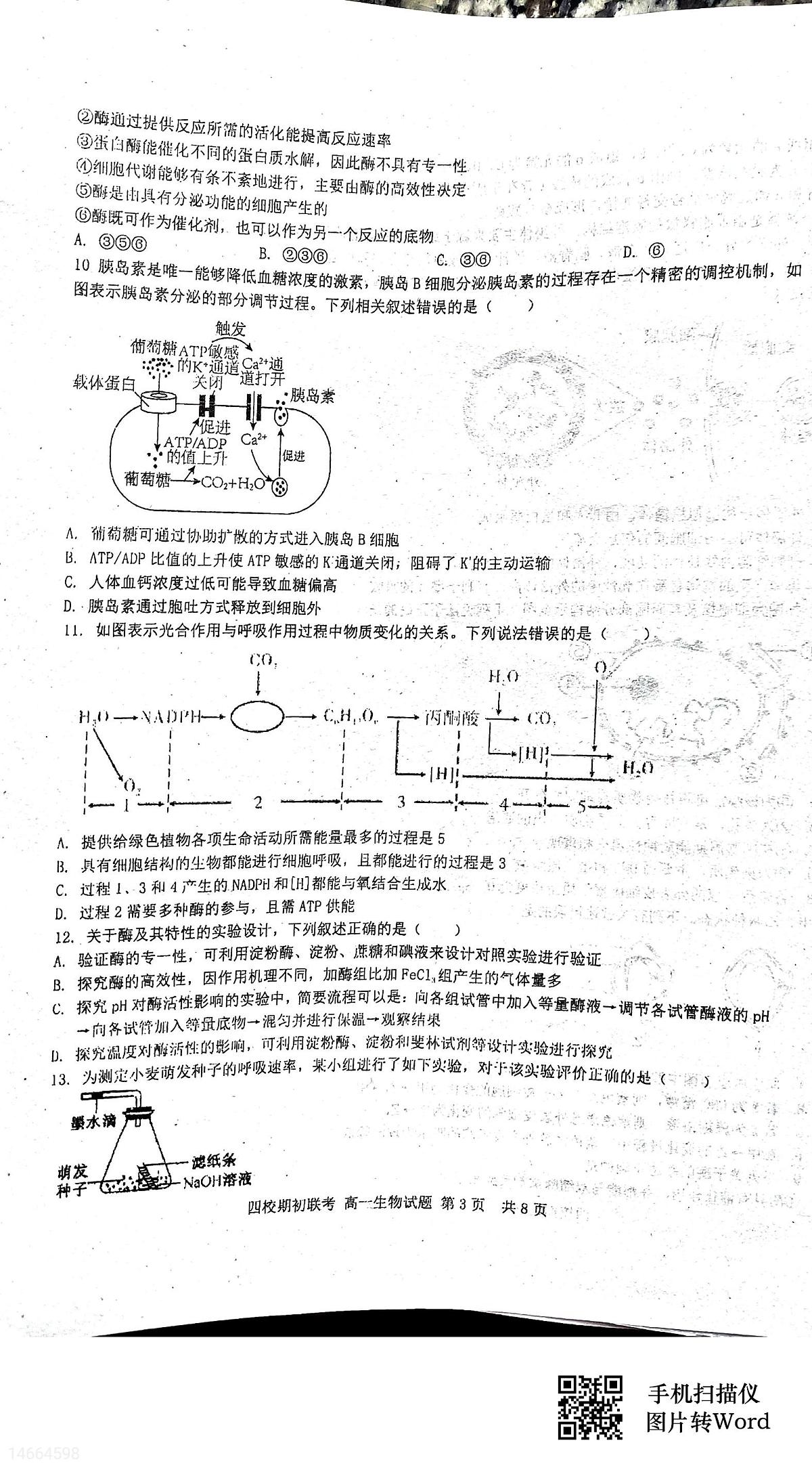 吉林省四校2023-2024学年高一下学期开学联考试题生物试题（含答案）第3页
