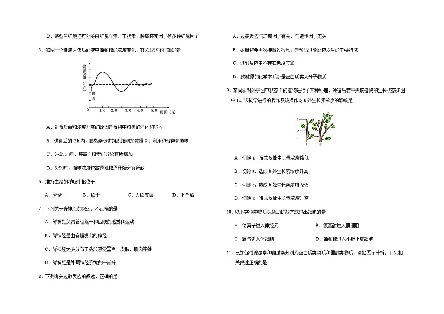 吉林省长春市朝阳区长春外国语学校2023-2024学年高二下学期开学考试 生物试题（含答案）第2页