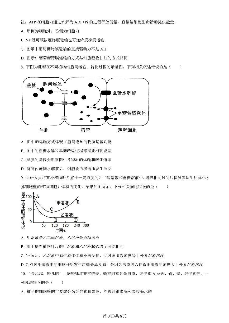 江西省宜春市丰城市江西省丰城中学2023-2024学年高一下学期开学生物试题（含答案）第3页