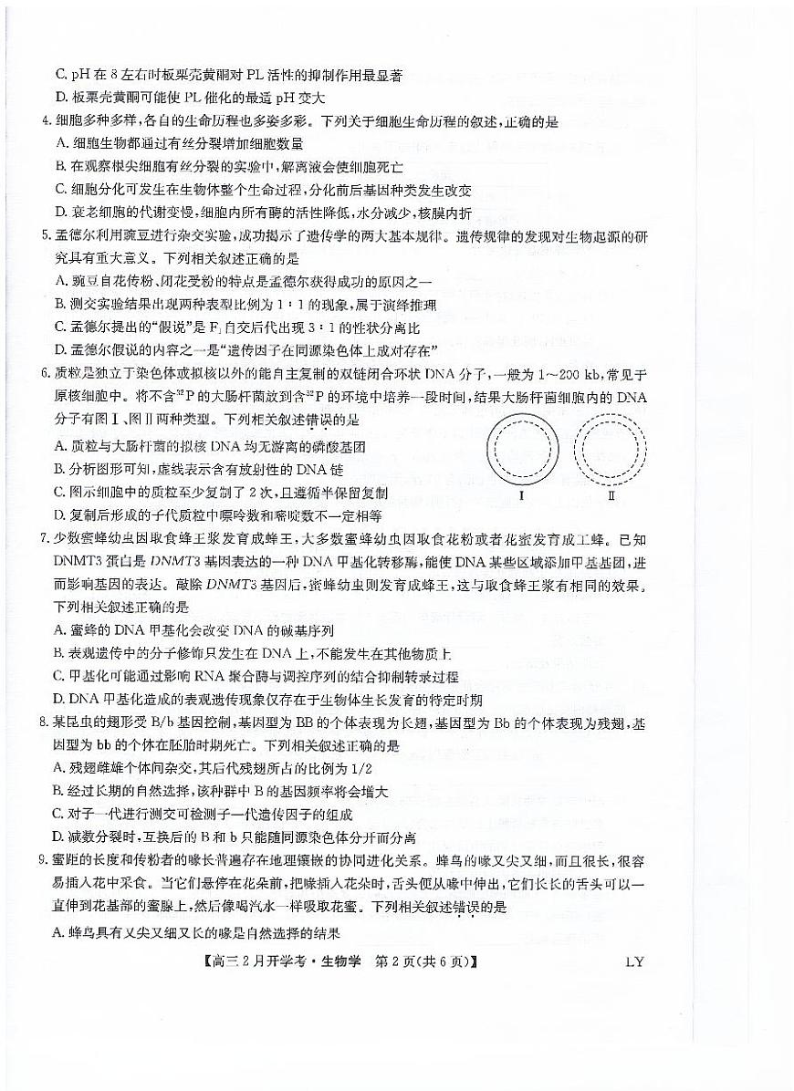 九师联盟2024届高三下学期2月开学考试 生物试卷（含答案）第2页
