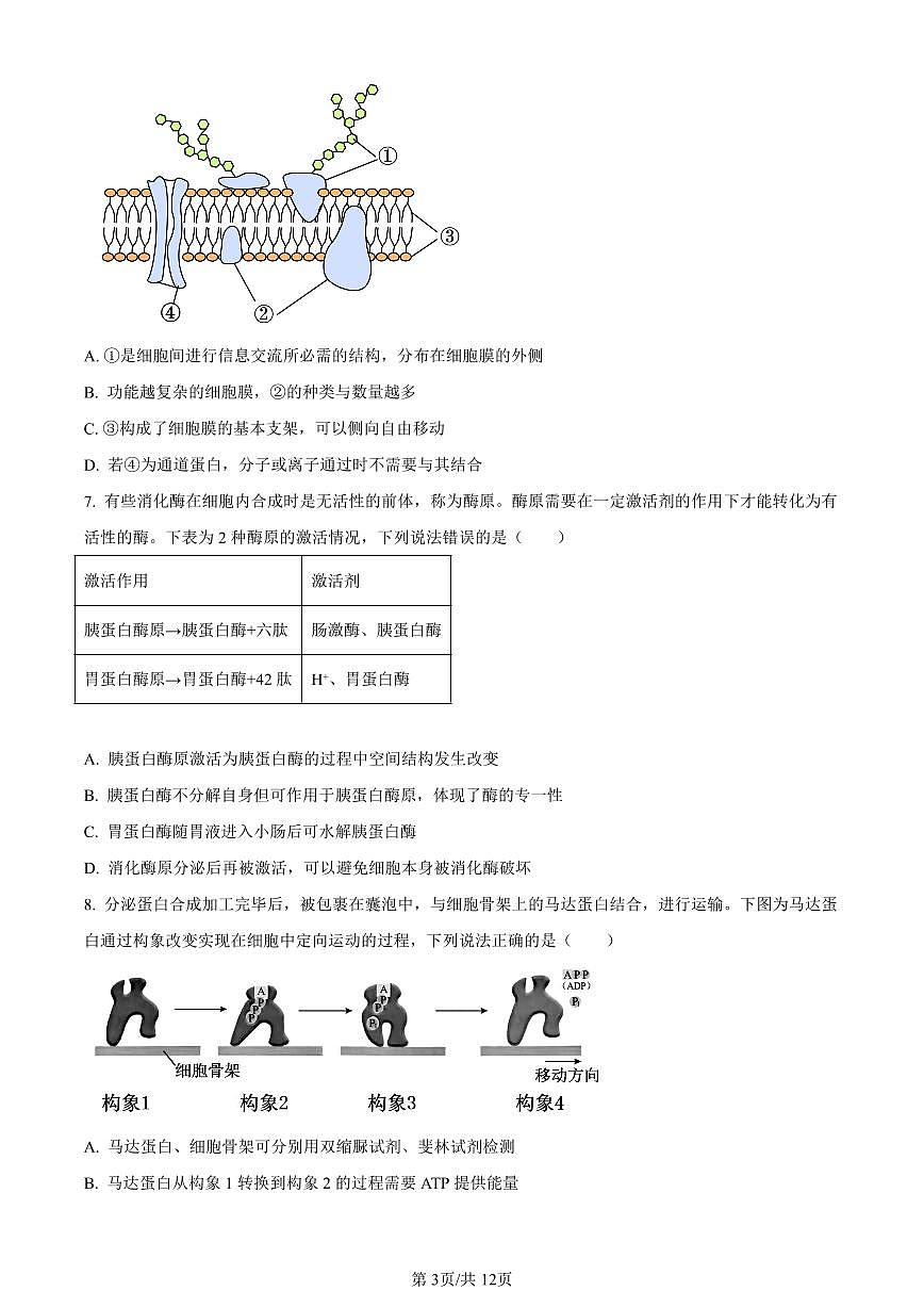 山东省淄博市2023-2024学年高一上学期期末生物试题（含答案）第3页