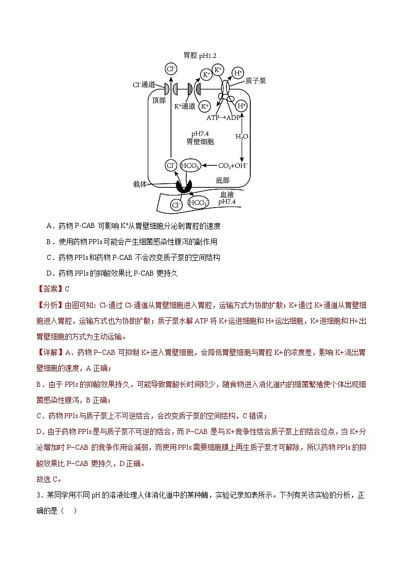 2025年高考第三次模拟考试卷：生物（甘肃卷）（解析版）第2页