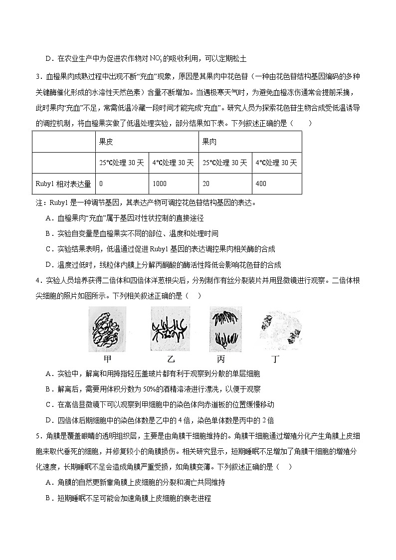 2025年高考第三次模拟考试卷：生物（贵州卷）（考试版）第2页