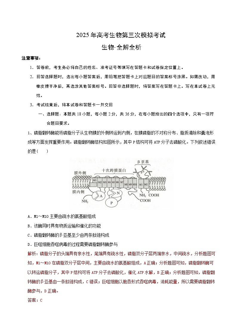 2025年高考第三次模拟考试卷：生物（湖北卷）（解析版）第1页