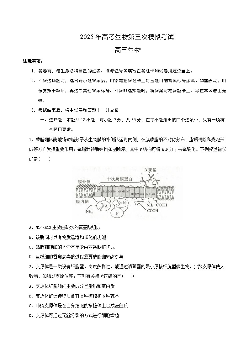 2025年高考第三次模拟考试卷：生物（湖北卷）（考试版）第1页