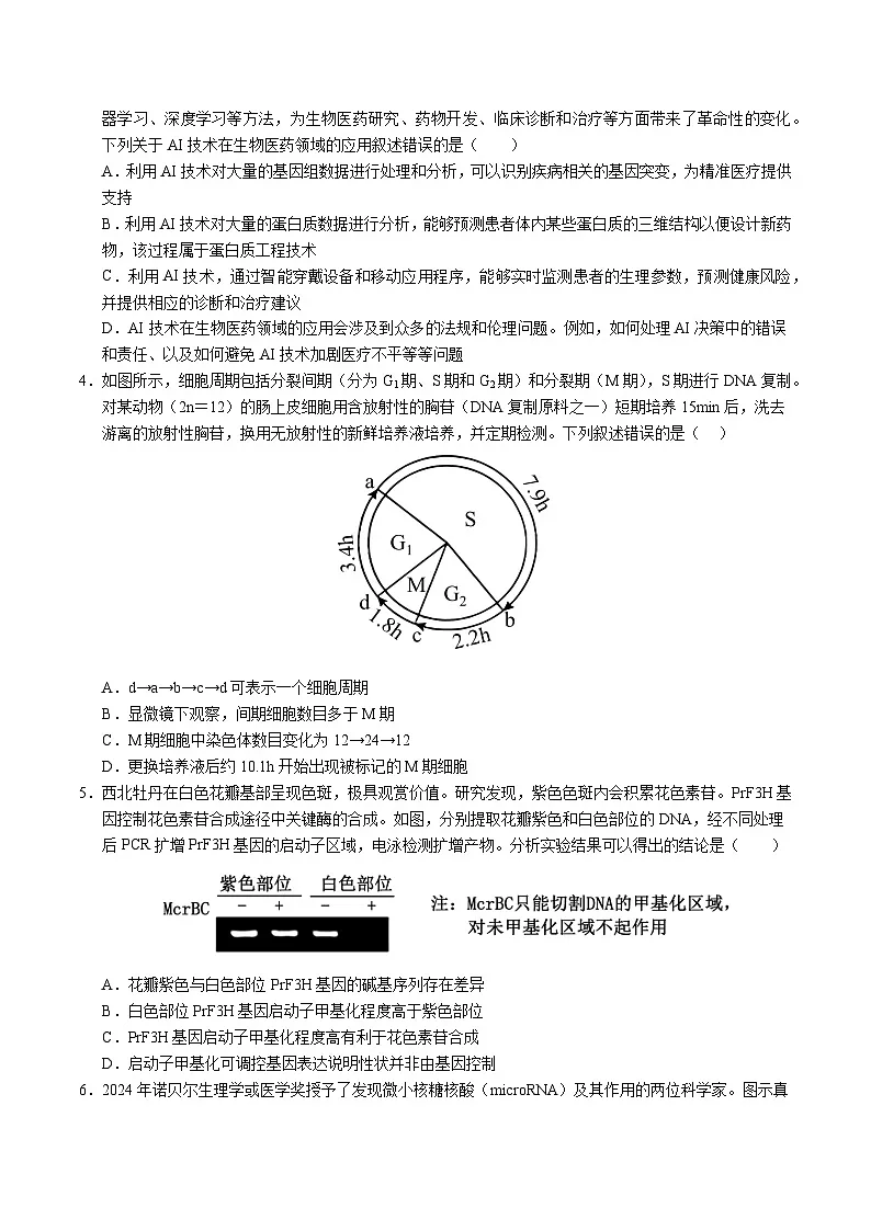 2025年高考第三次模拟考试卷：生物（湖南卷）（考试版）第2页
