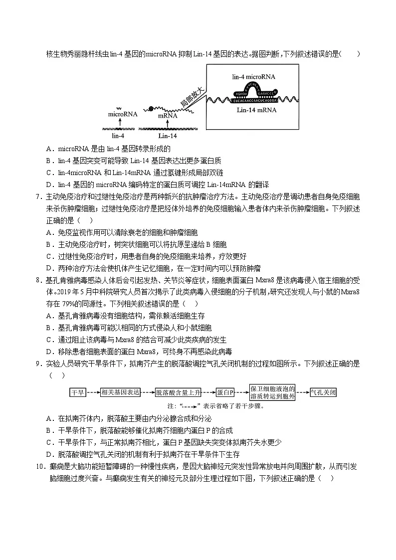 2025年高考第三次模拟考试卷：生物（湖南卷）（考试版）第3页