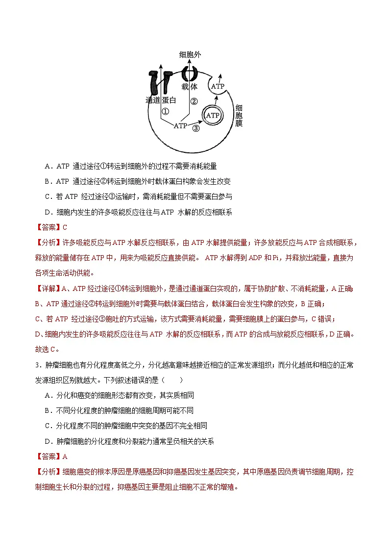 2025年高考第三次模拟考试卷：生物（江苏卷01）（解析版）第2页