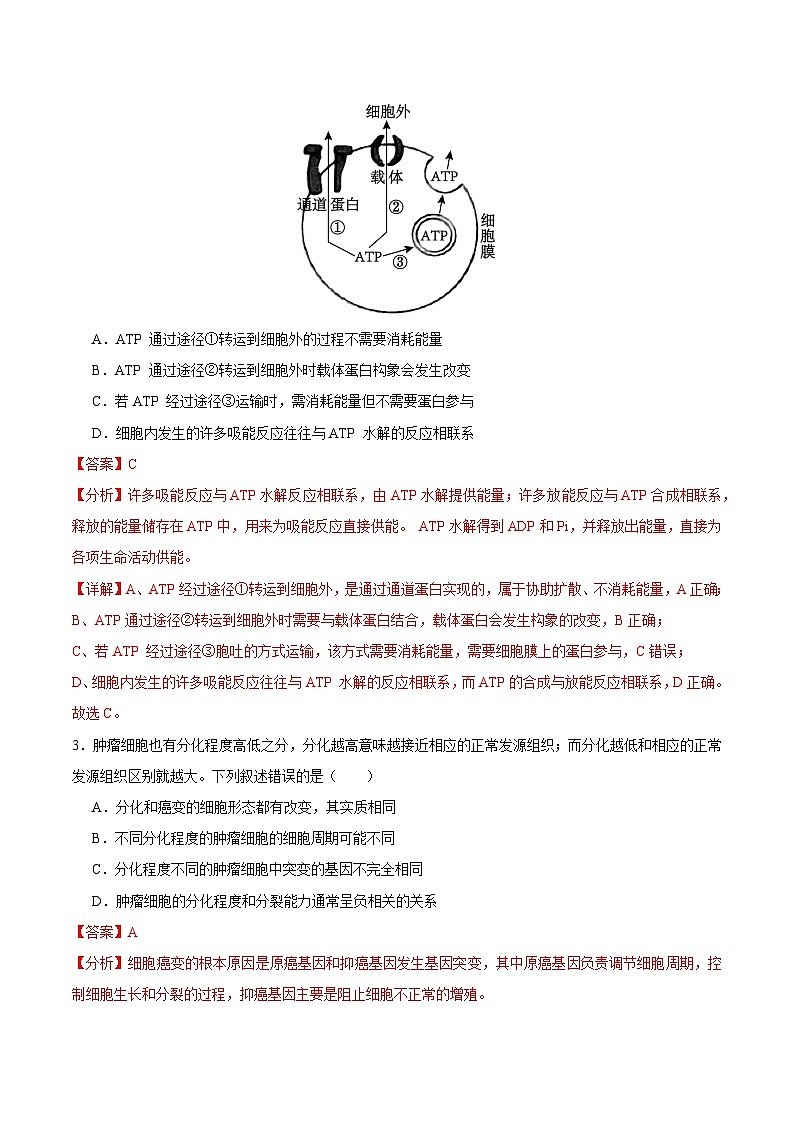 2025年高考第三次模拟考试卷：生物（江苏卷01）（解析版）第2页