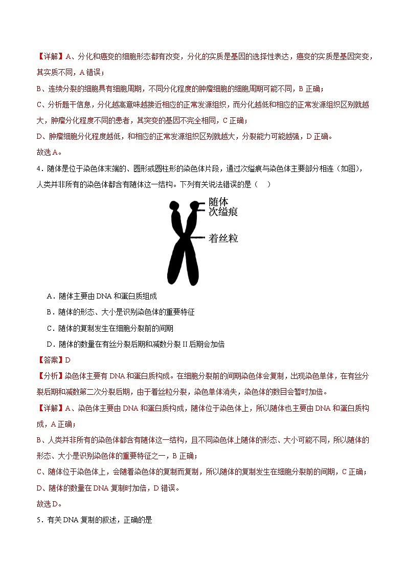 2025年高考第三次模拟考试卷：生物（江苏卷01）（解析版）第3页