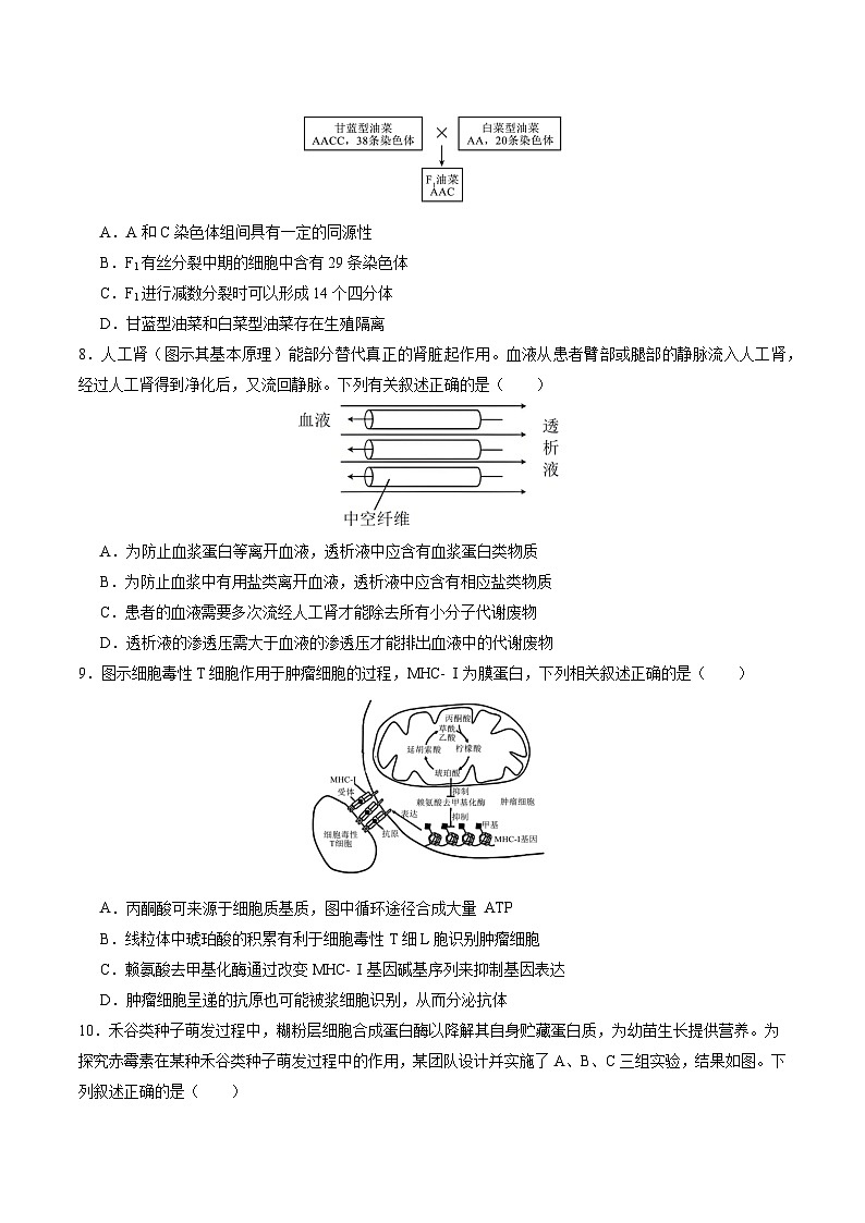 2025年高考第三次模拟考试卷：生物（江苏卷01）（考试版）第3页