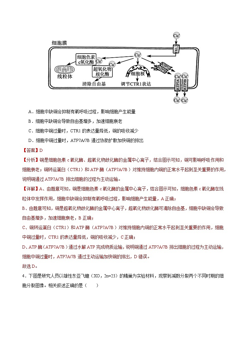 2025年高考第三次模拟考试卷：生物（江苏卷02）（解析版）第3页