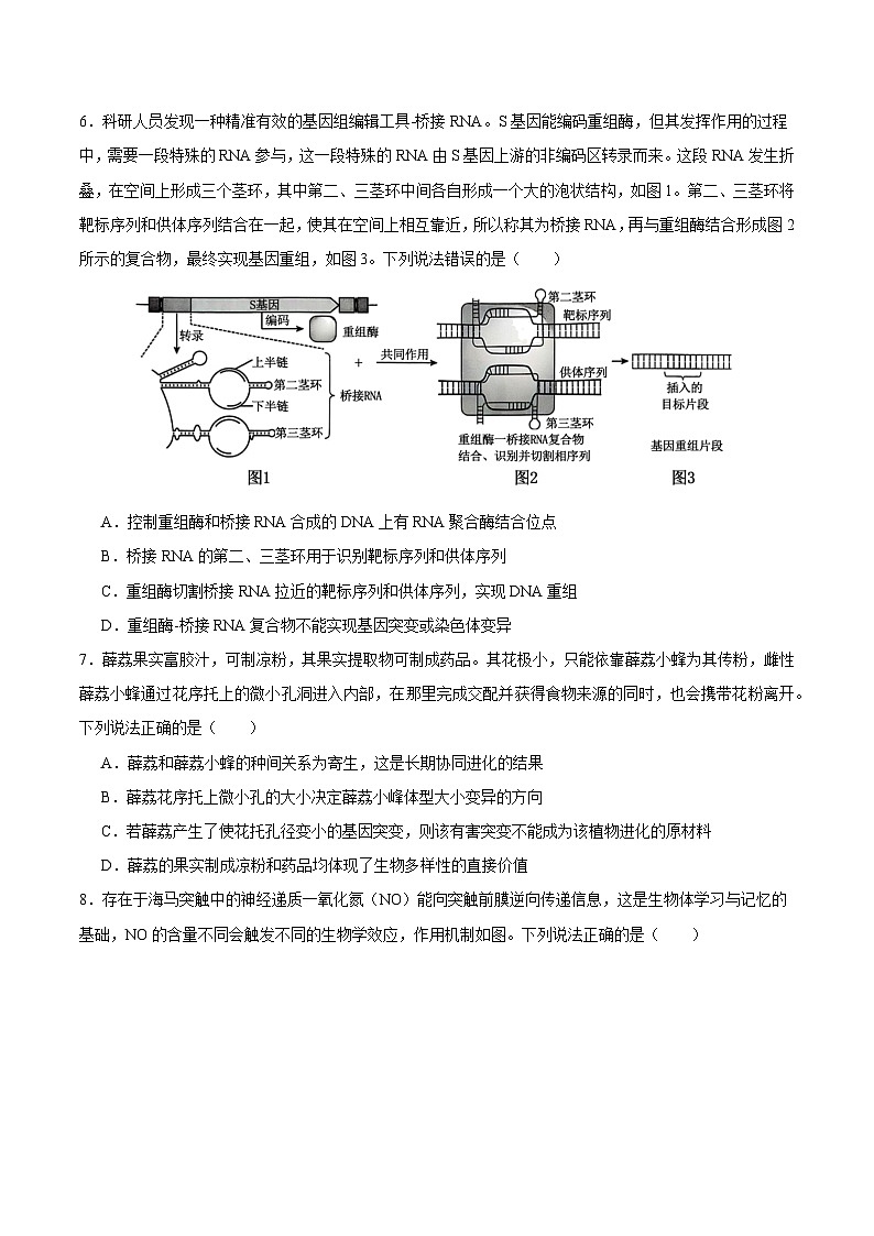 2025年高考第三次模拟考试卷：生物（山东卷）（考试版）第3页