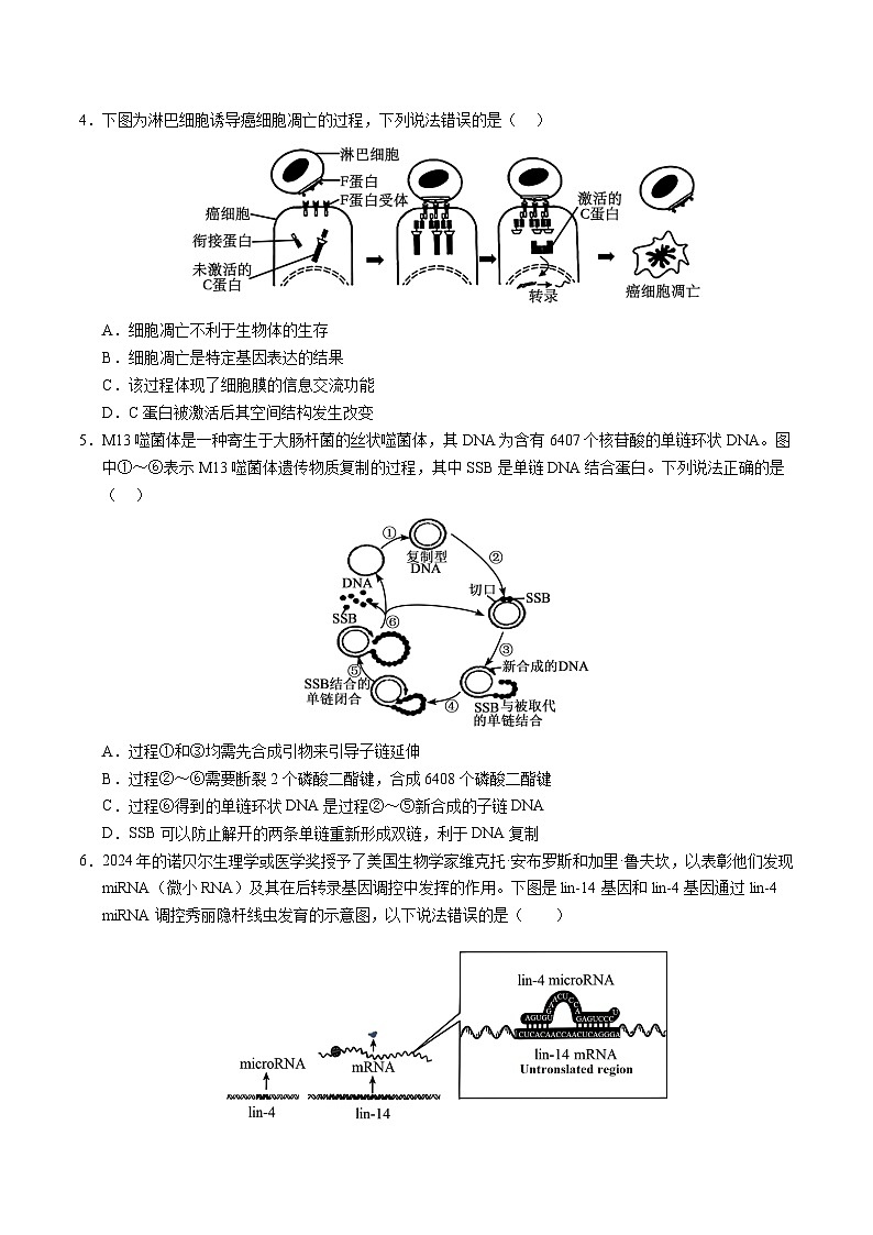 2025年高考第三次模拟考试卷：生物（重庆卷）（考试版）第2页