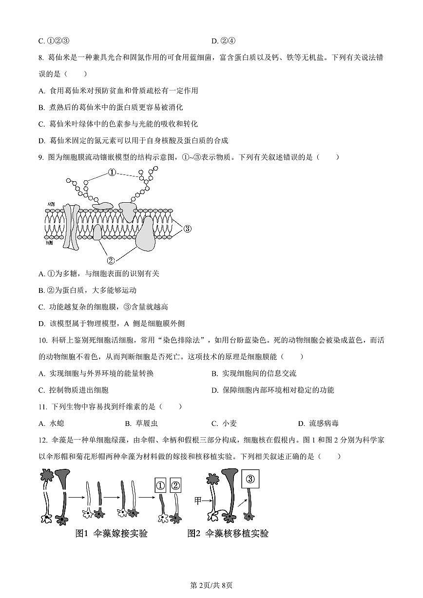 天津市红桥区2023-2024学年高一1月期末生物试卷（含答案）第2页
