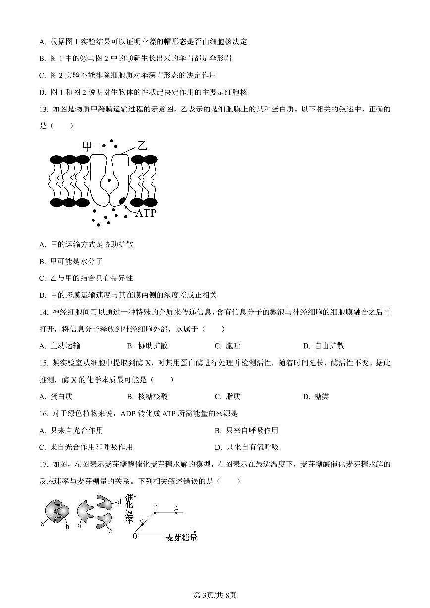 天津市红桥区2023-2024学年高一1月期末生物试卷（含答案）第3页