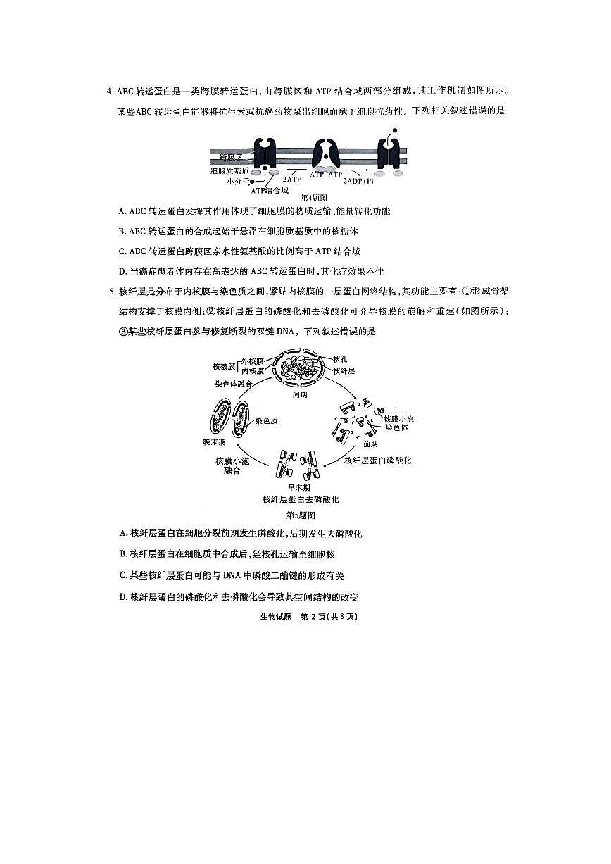 重庆市南开中学校2023-2024学年高三下学期2月月考 生物试卷（含答案）第2页