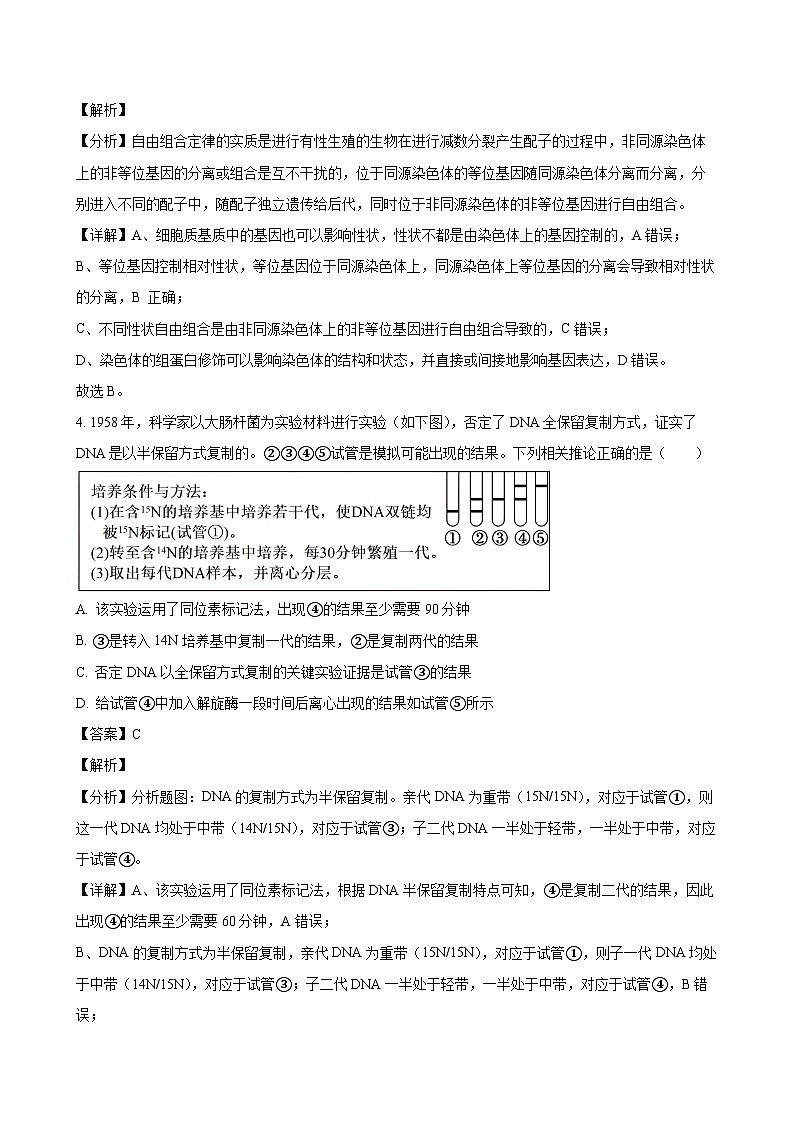 2024-2025学年湖北省武汉市部分重点中学联考高一生物下学期6月期末模拟试题（附答案）第3页