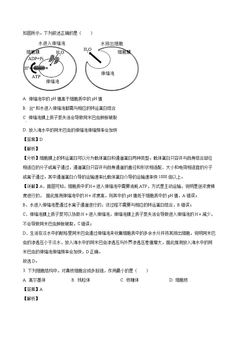 2024-2025学年湖北省武汉市武昌区高二生物下学期期末质量检测试卷（附答案）第2页