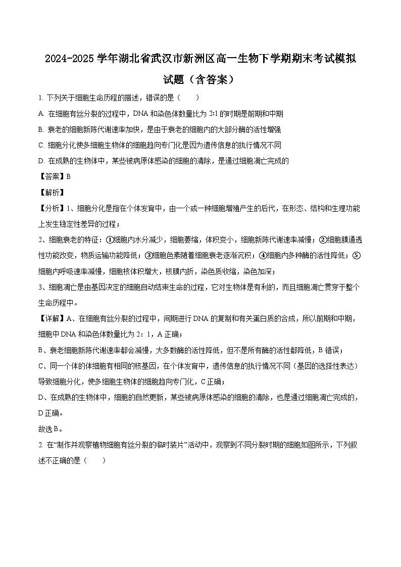 2024-2025学年湖北省武汉市新洲区高一生物下学期期末考试模拟试题（附答案）第1页