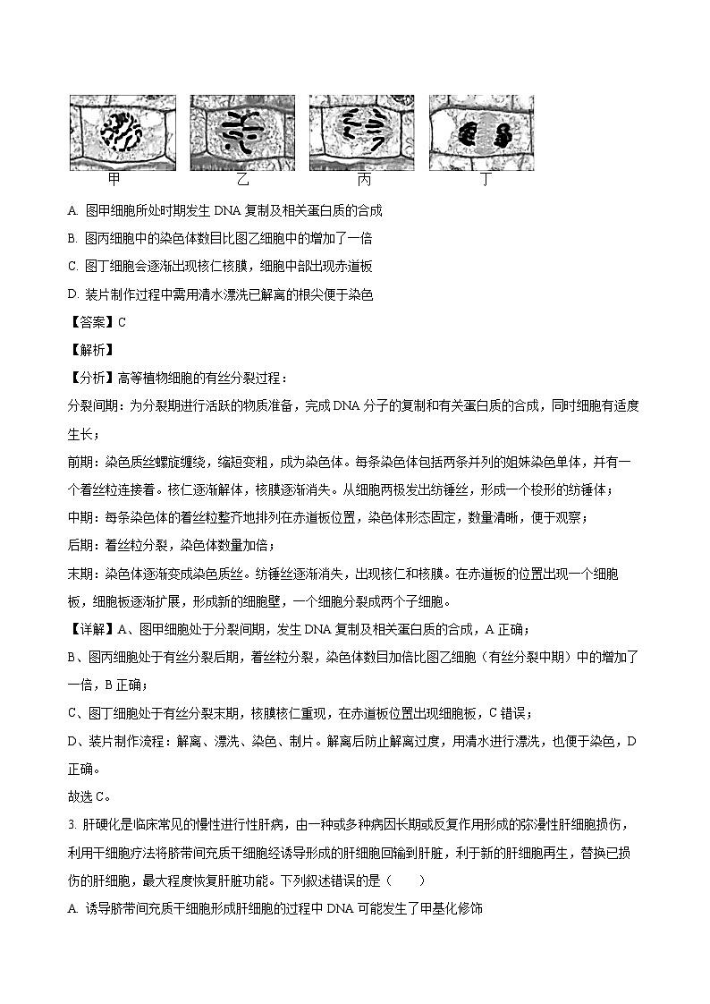 2024-2025学年湖北省武汉市新洲区高一生物下学期期末考试模拟试题（附答案）第2页