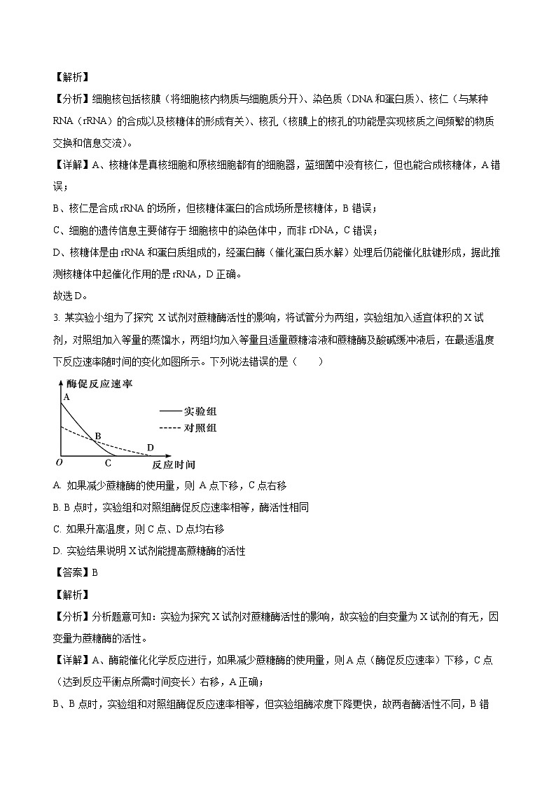 2024-2025学年湖北省咸宁市高二生物下学期期末考试模拟试题（附答案）第2页