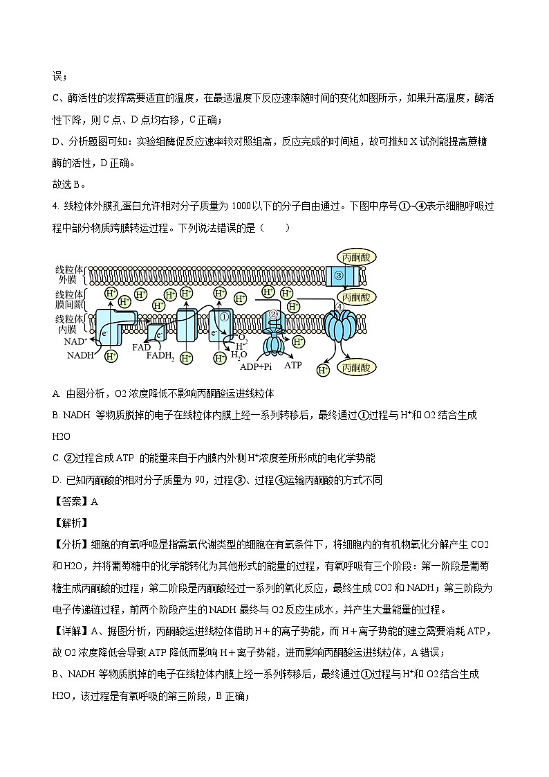 2024-2025学年湖北省咸宁市高二生物下学期期末考试模拟试题（附答案）第3页