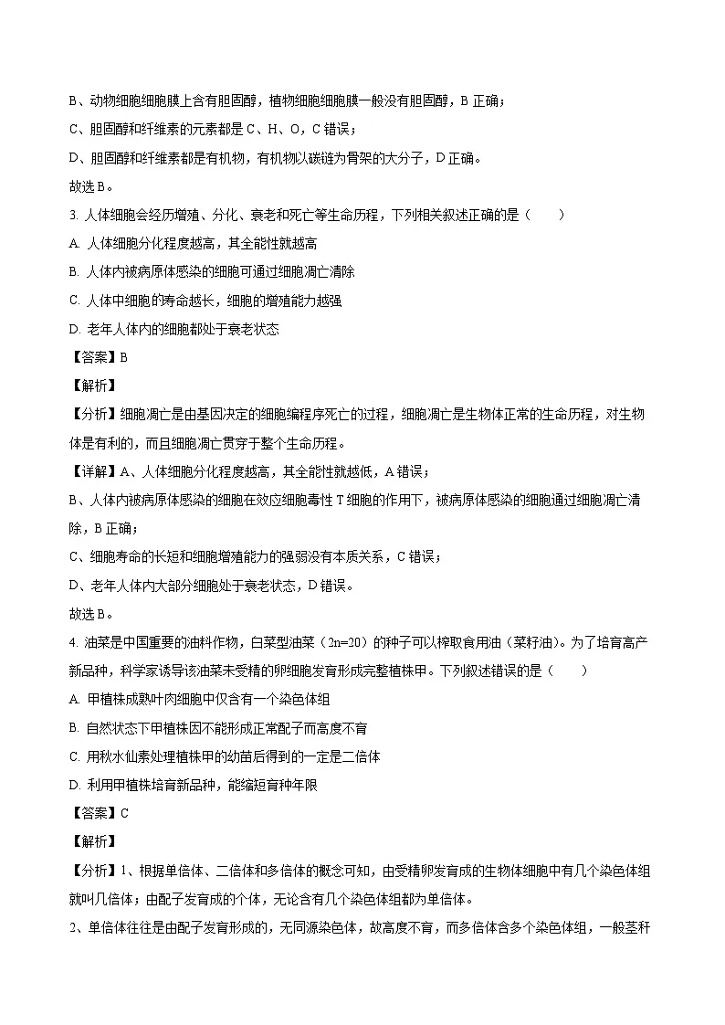 2024-2025学年湖北省咸宁市高一生物下学期期末考试模拟试题（附答案）第2页