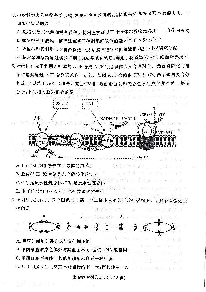 辽宁名校联盟高三5月考生物试卷第3页