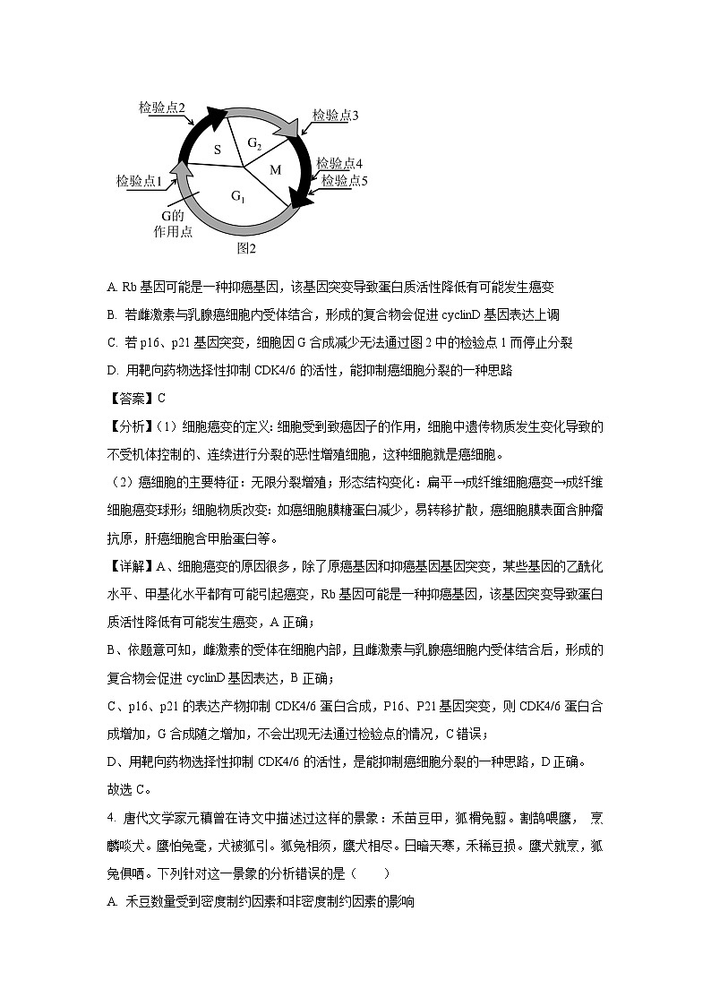 河南省信阳市固始县2025届高三一模生物试卷（解析版）第3页